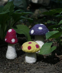 Mushroom Needle Felting Kit