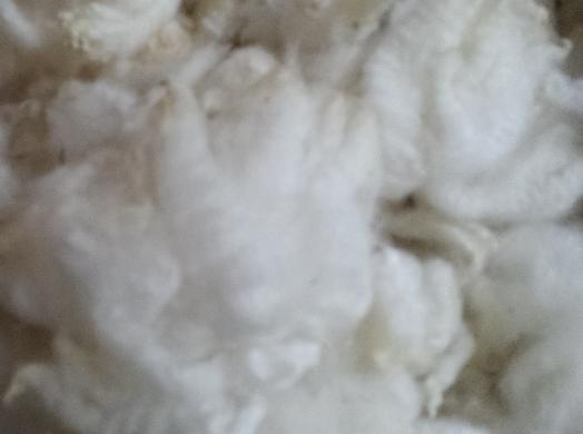 Crossbred Rambouillet, Merino and Romney Scoured Fiber - White - 8 oz