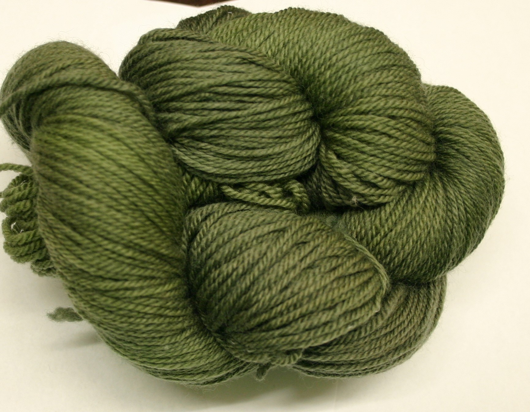 Ivy Brambles Enrapture Yarn - 110 Pine Tree