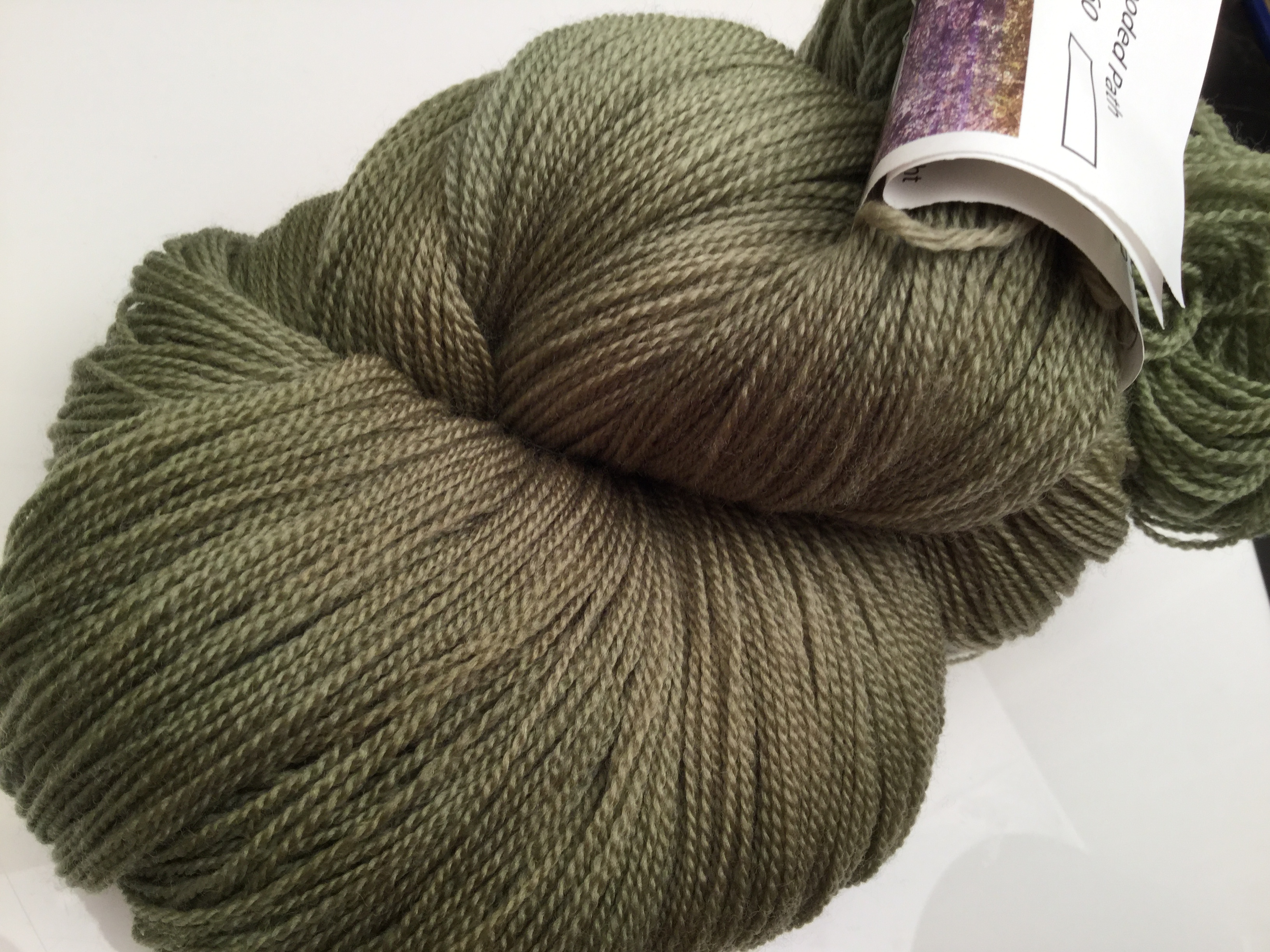 Ivy Brambles Romantica Merino Lace Yarn - 160 Wooded Path