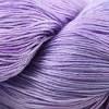 Prism Merino Mia Yarn in Colorway Orchid